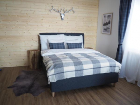 My Deer Apartment, Destne V Orlickych Horach